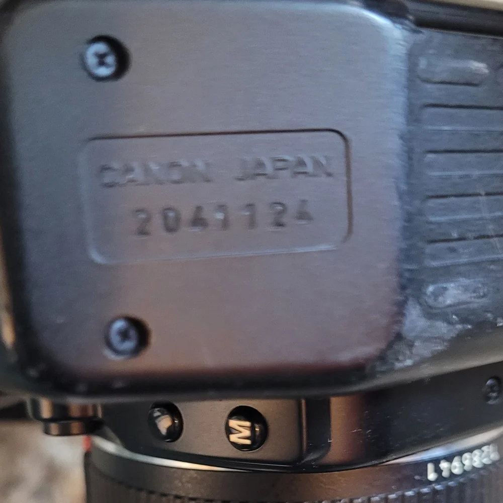 Canon EOS 650 with Vivitar flash